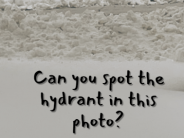 snow; hydrant